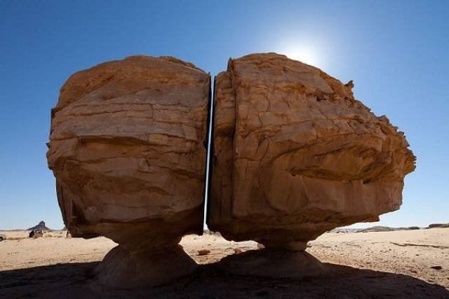 Interesting Finds (47 pics)
