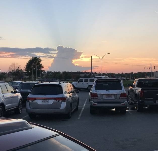 Interesting Finds (47 pics)