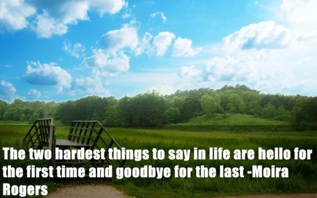 Random Facts (24 pics)