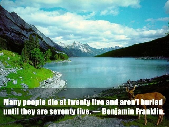 Random Facts (24 pics)