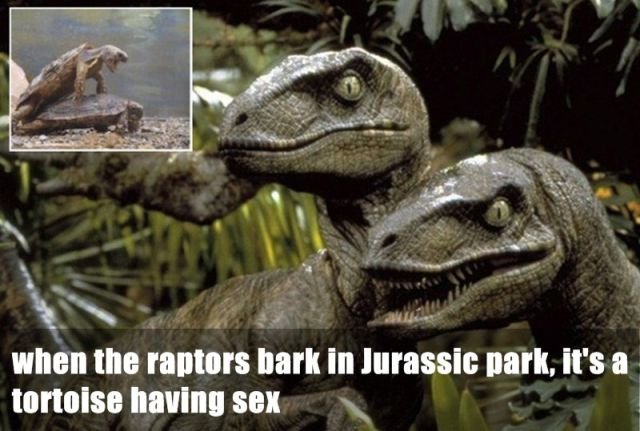 Random Facts (24 pics)