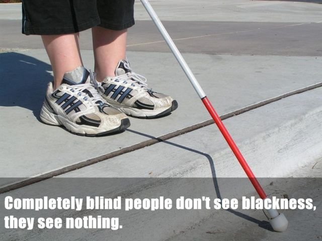 Random Facts (24 pics)