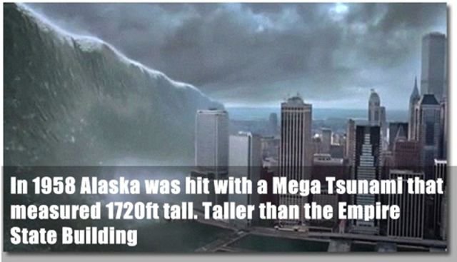 Random Facts (24 pics)
