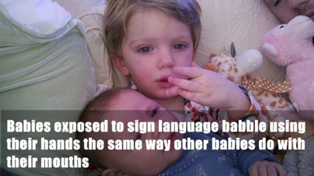 Random Facts (24 pics)