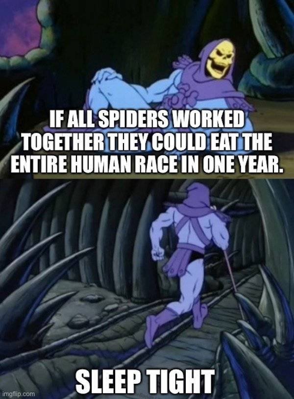 Uncomfortable Facts From Skeletor (21 pics)