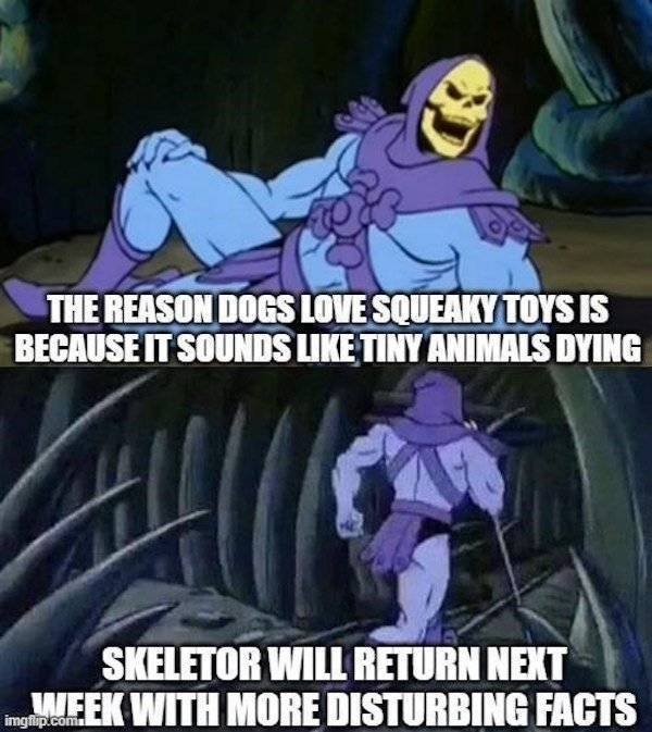 Uncomfortable Facts From Skeletor (21 pics)