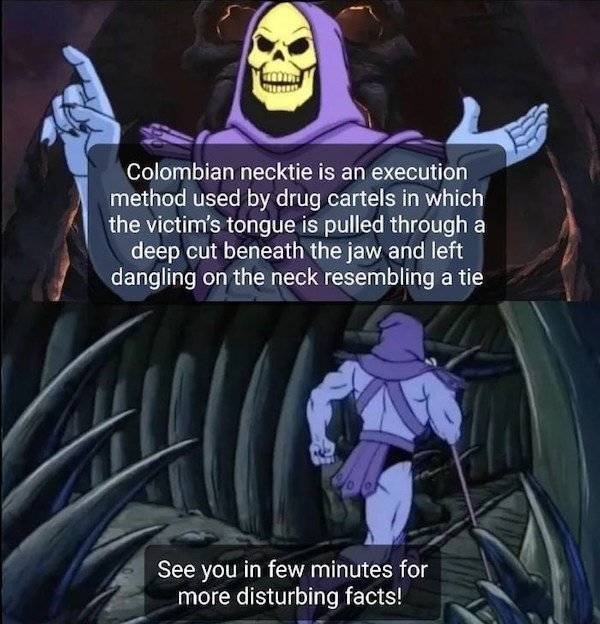 Uncomfortable Facts From Skeletor (21 pics)