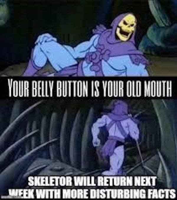 Uncomfortable Facts From Skeletor (21 pics)