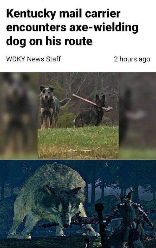 Pictures And Memes For Gamers (47 pics) Pictures And Memes For Gamers (47 pics)
