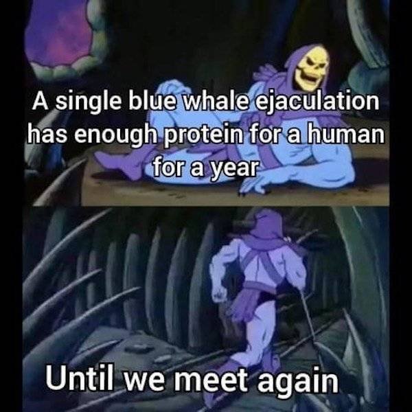 Uncomfortable Facts From Skeletor (21 pics)