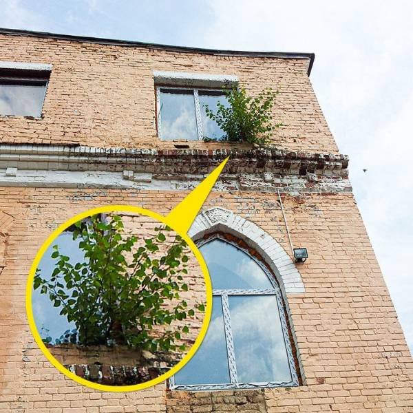 The Power Of Nature (17 pics)
