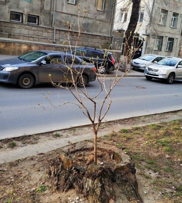 The Power Of Nature (17 pics)