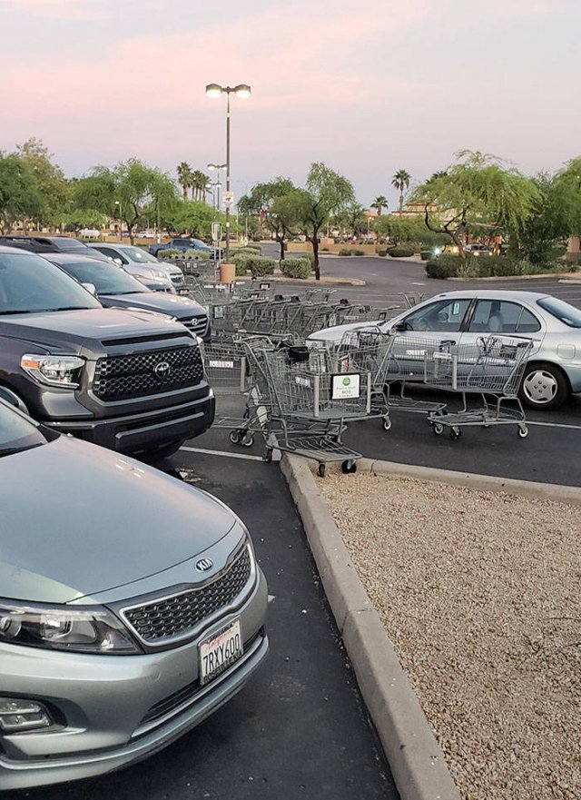 Annoying People And Situations (49 pics)