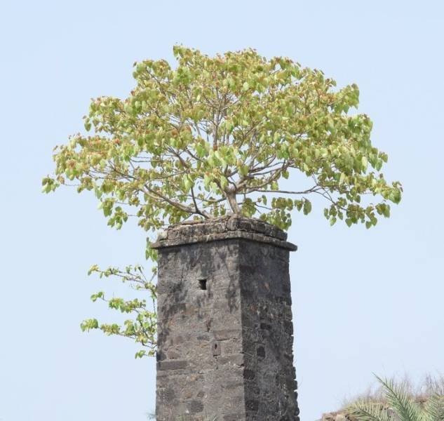 The Power Of Nature (17 pics)