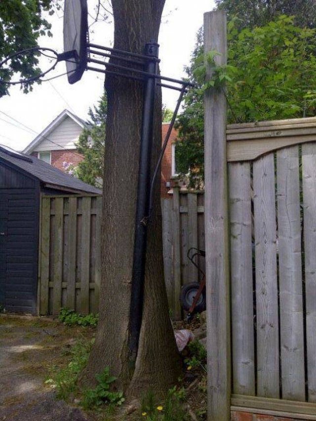 The Power Of Nature (17 pics)