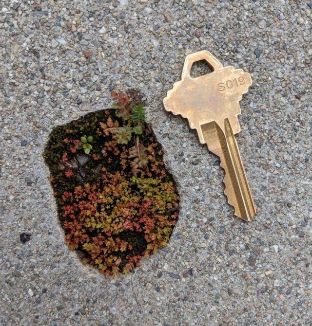 The Power Of Nature (17 pics)