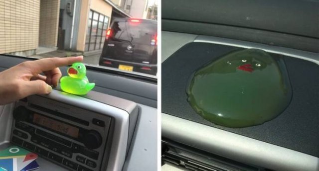 Funny Photos For A Good Mood (43 pics)