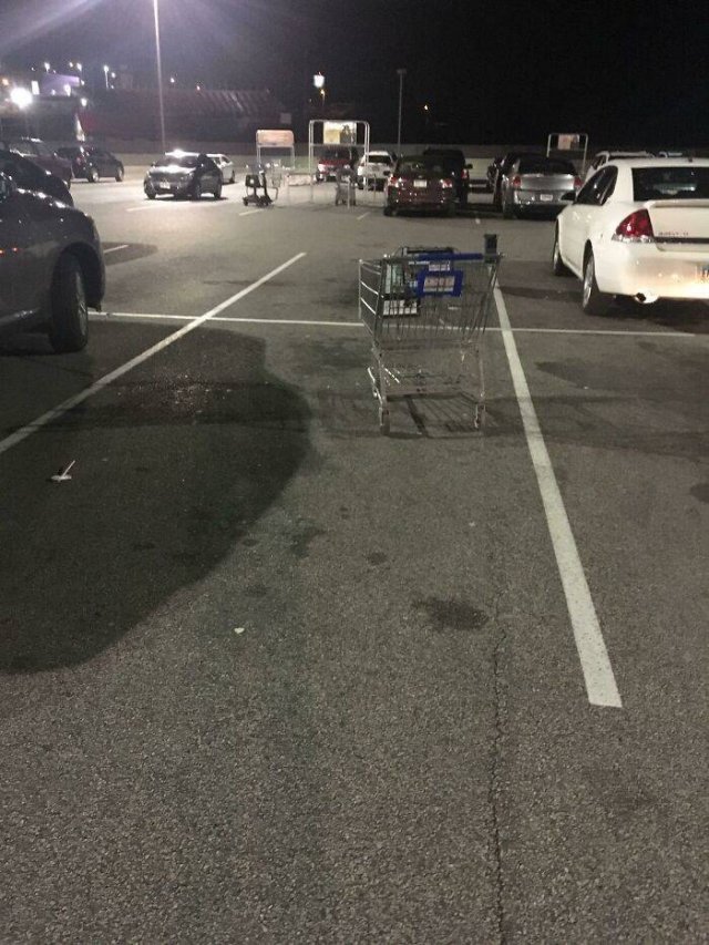 Annoying People And Situations (49 pics)