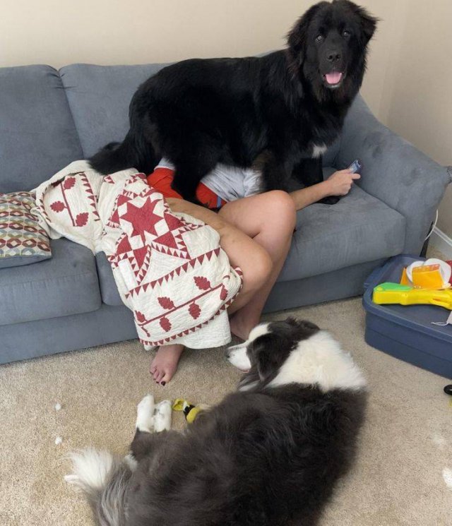 Funny Photos For A Good Mood (43 pics)