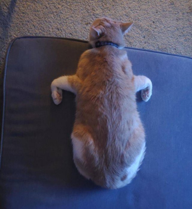Funny Photos For A Good Mood (43 pics)