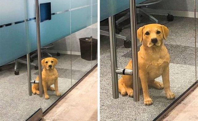 Funny Photos For A Good Mood (43 pics)