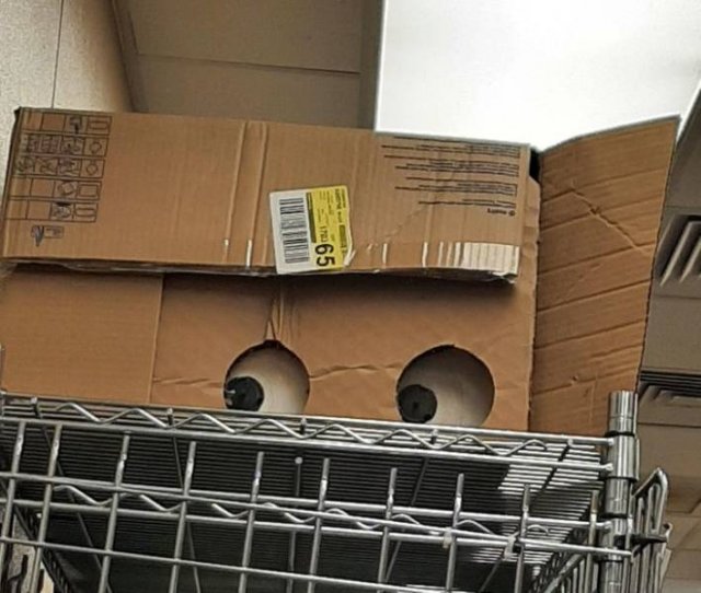 Funny Photos For A Good Mood (43 pics)