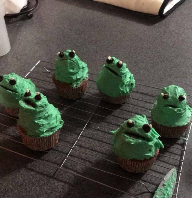 Funny Photos For A Good Mood (43 pics)