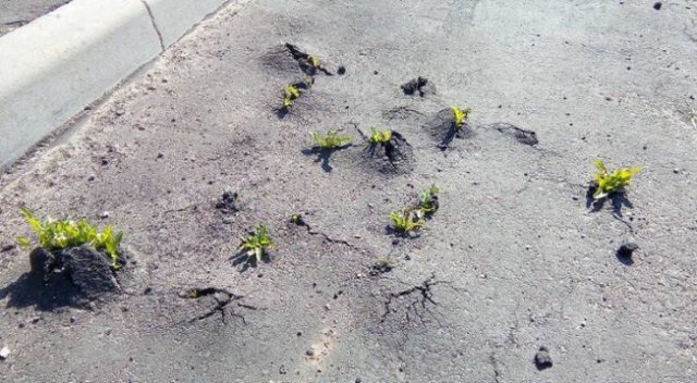 The Power Of Nature (17 pics)