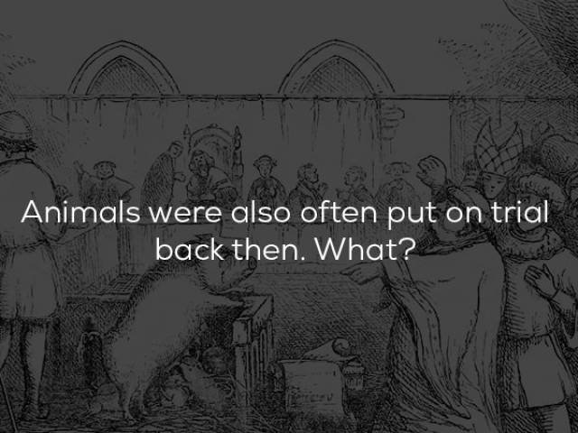 Historical Facts (23 pics)