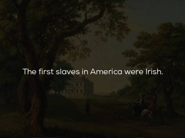 Historical Facts (23 pics)
