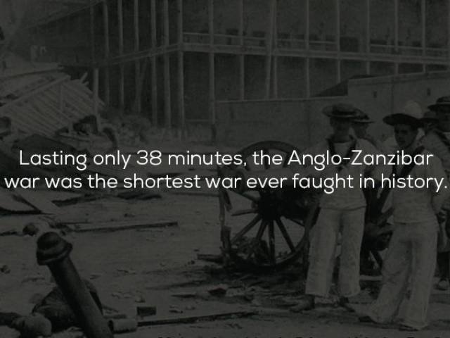 Historical Facts (23 pics)