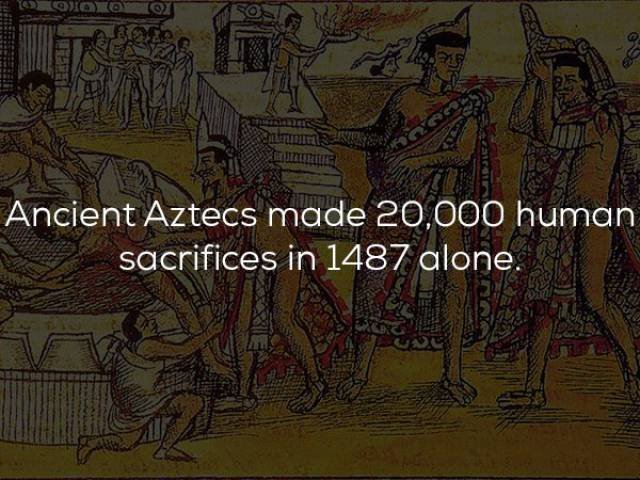 Historical Facts (23 pics)