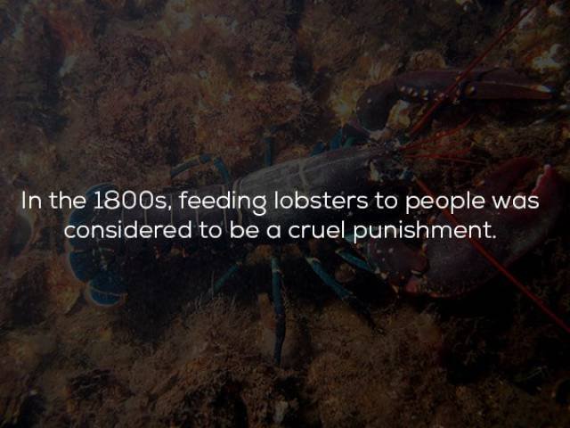 Historical Facts (23 pics)