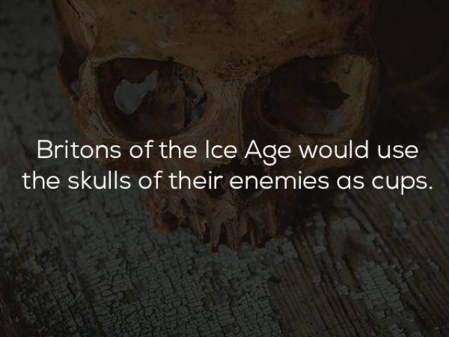 Historical Facts (23 pics)
