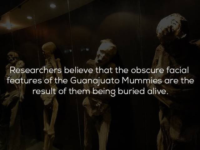Historical Facts (23 pics)