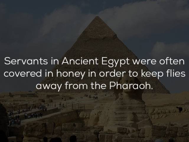 Historical Facts (23 pics)