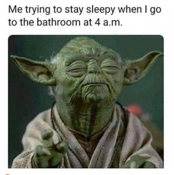Truthful Memes (24 pics)