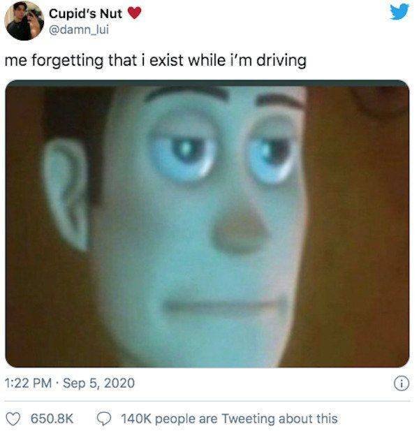 Truthful Memes (24 pics)