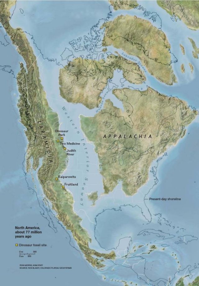 Interesting Maps (21 pics)