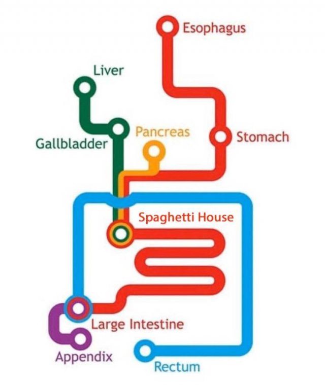 Interesting Maps (21 pics)