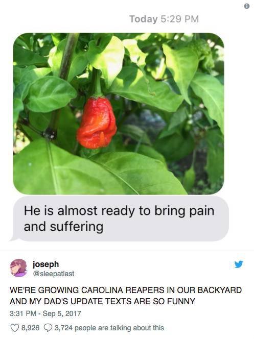 Dads Jokes (18 pics)