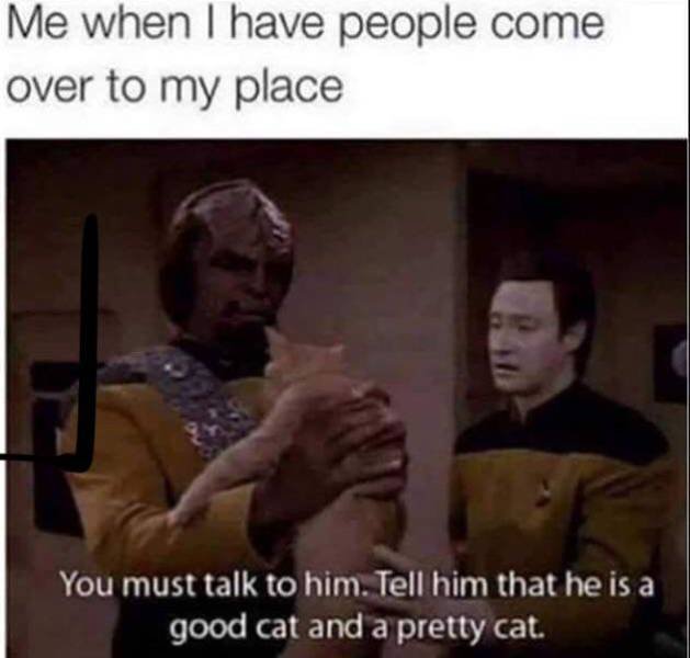 Kind Memes (37 pics)