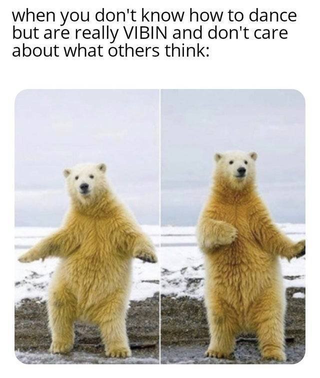 Kind Memes (37 pics)