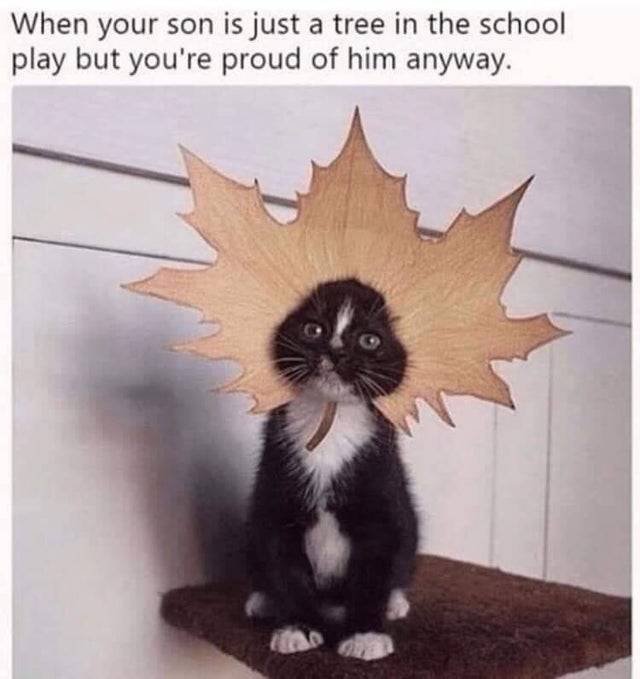 Kind Memes (37 pics)