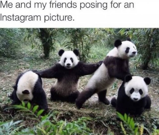 Memes For Best Friends (29 pics)