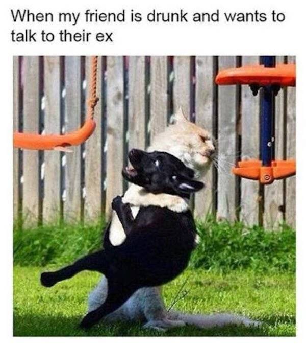 Memes For Best Friends (29 pics)