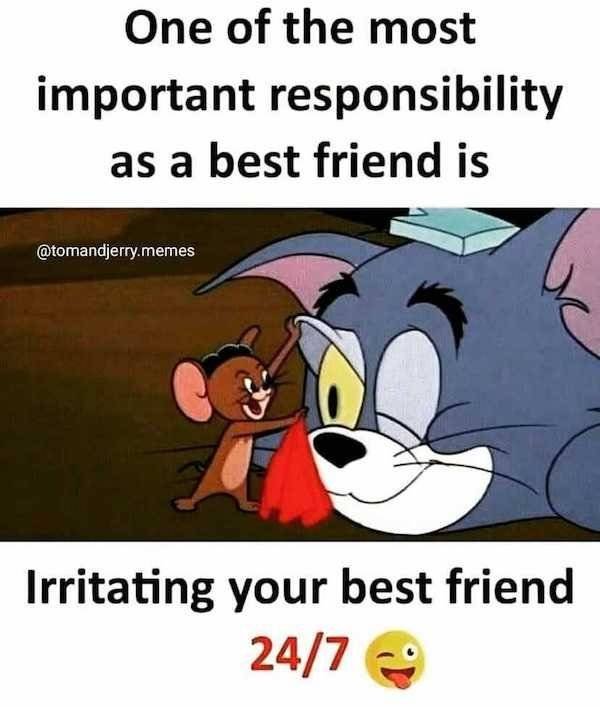 Memes For Best Friends (29 pics)