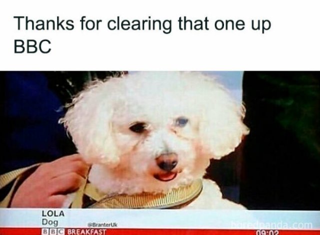 British Humor (29 pics)