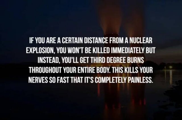 Creepy Facts (14 pics)
