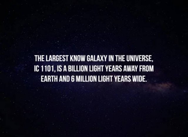 Creepy Facts (14 pics)